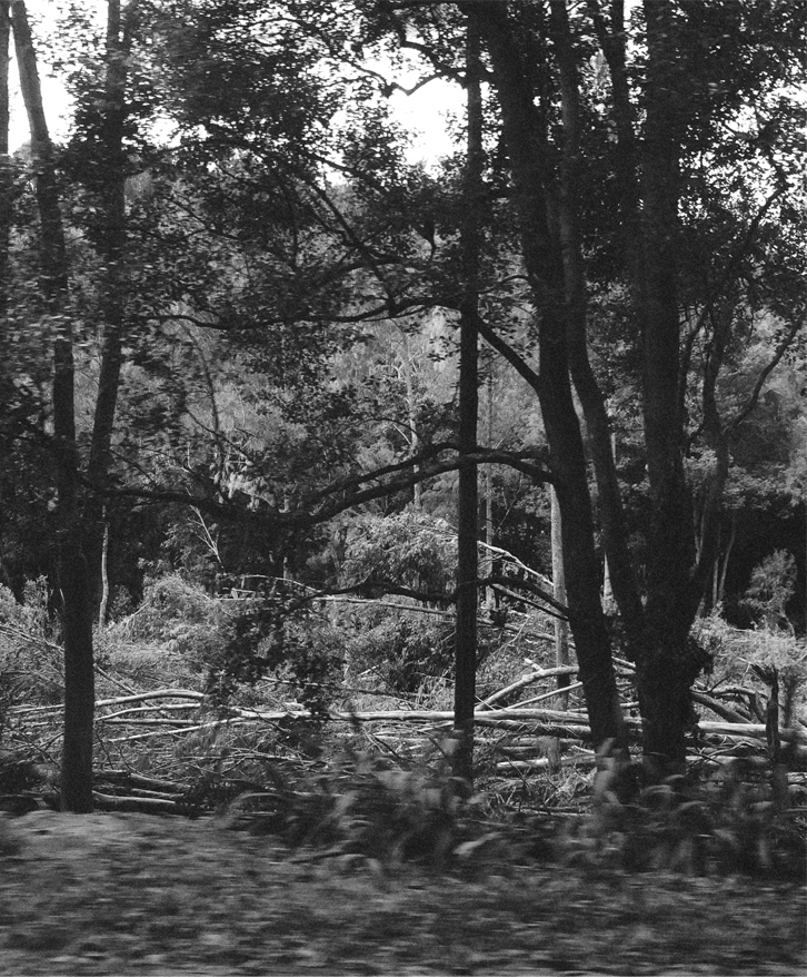 Patti Smith, Penetrating into the Heroic and&nbsp;Magical