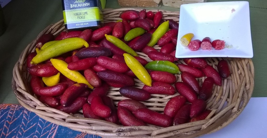 ‘NAIDOC in the City’ and Indigenous Australian&nbsp;Cuisine