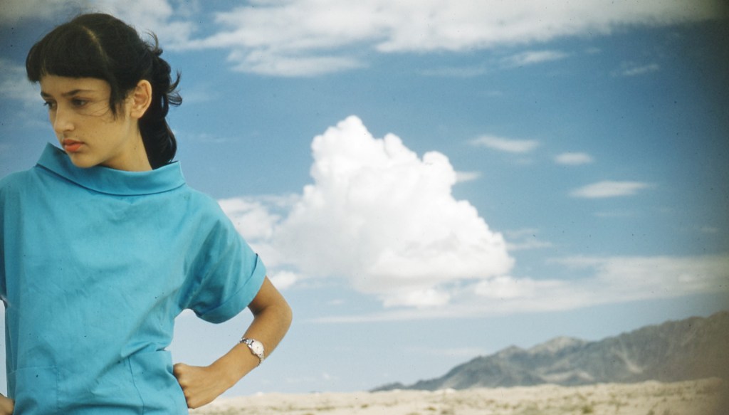 Sydney Film Festival Review: Joan Baez I Am A&nbsp;Noise